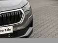 Skoda Karoq 2.0TDI DSG Tour AHK ACC NAV PDC RFK Grey - thumbnail 7