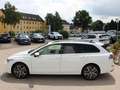 Volkswagen Golf Variant VIII Variant 1.5 eTSI Style Tiptronic KLIMA LED N Weiß - thumbnail 6