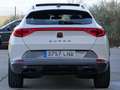 CUPRA Formentor 1.5 TSI 150 DSG Weiß - thumbnail 13