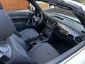 Volkswagen Beetle 1.2 TSI Design 105 Blanco - thumbnail 7