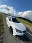 SEAT Leon Leon Sportourer ST 2.0 TSI 300 DSG7 4Drive Cupra R - thumbnail 6