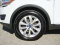 Ford Kuga 2,0 Titanium 4x4 TDCI *ALLRAD* Weiß - thumbnail 6