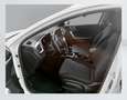 Kia Ceed / cee'd 1.0 T-GDI Concept Blanco - thumbnail 10