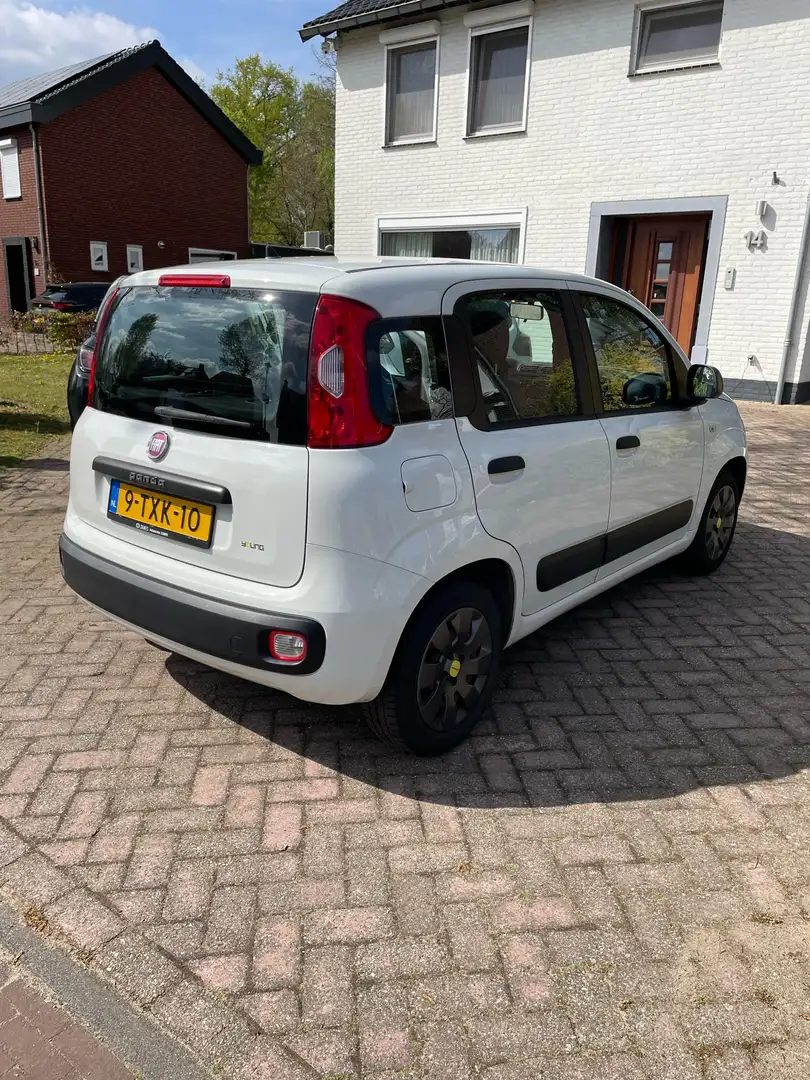 Fiat Panda 0.9 TwinAir Young Wit - 2