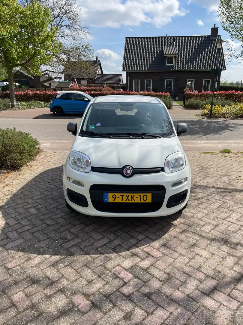 Fiat Panda 0.9 TwinAir Young Wit - 1