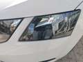 Skoda Octavia Combi 1.6TDI CR Ambition Blanco - thumbnail 25