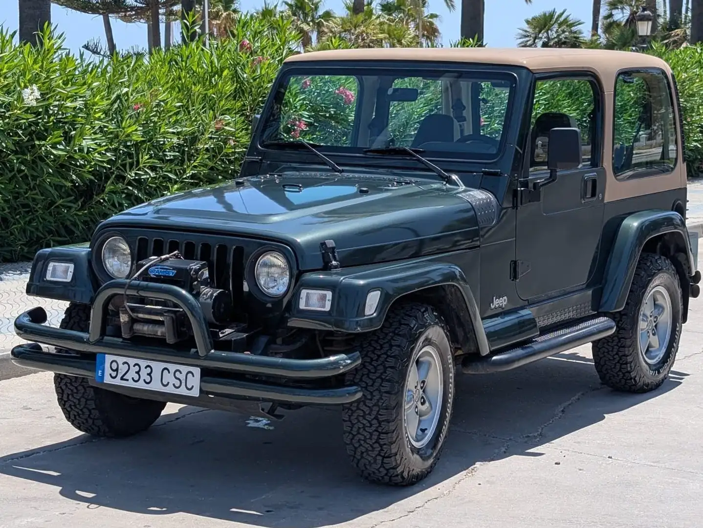 Jeep Wrangler Wrangler 4.0 Aut. Verde - 1