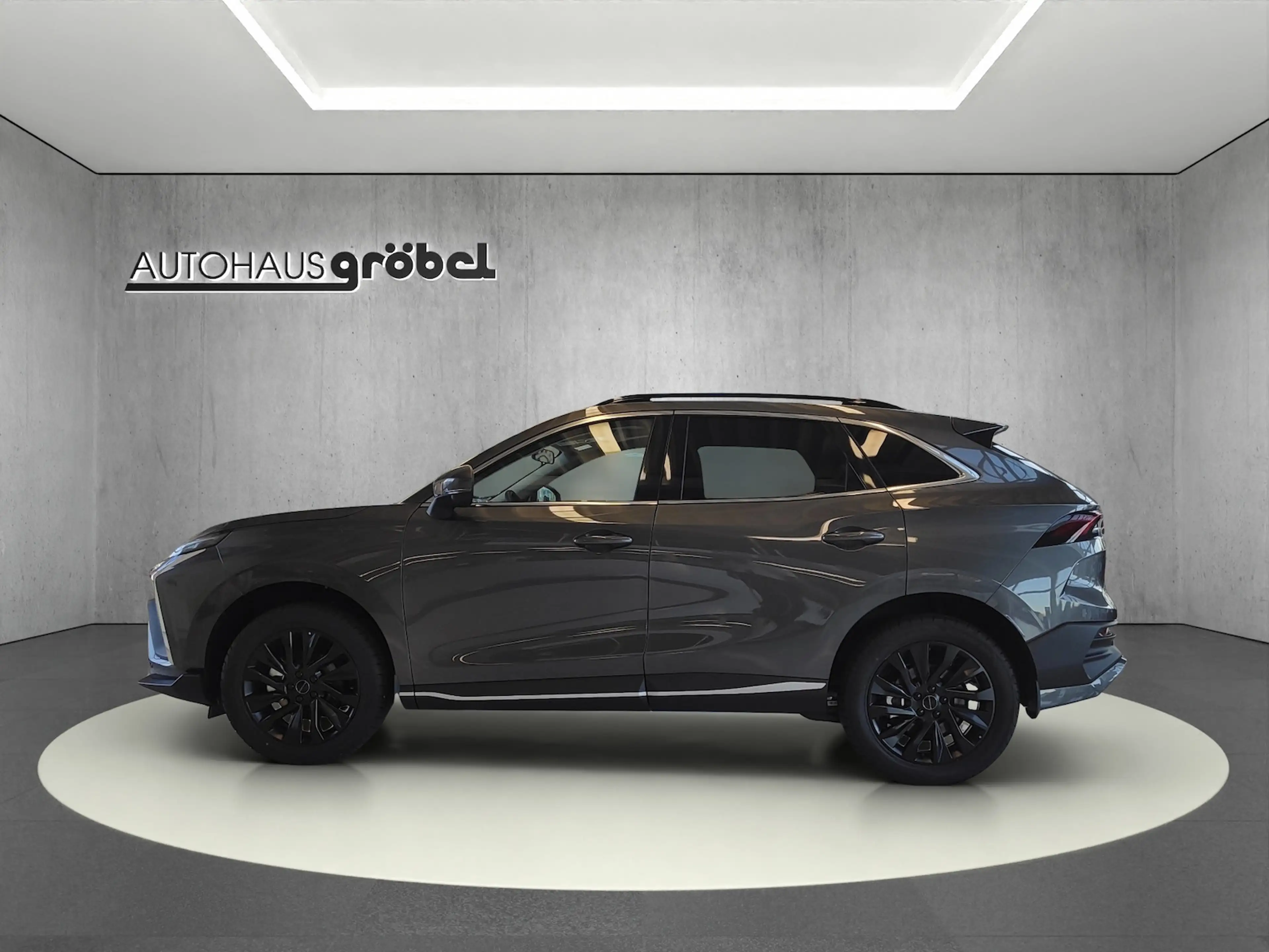 Forthing 1.5 GDI Sitzh. 130 kW — photo 11