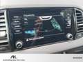 Skoda Karoq 2.0 TSI Sportline 4x4 DSG Matrix PDC SmartLink Grijs - thumbnail 19