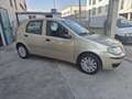 Fiat Punto Punto 5p 1.3 mjt 16v Classic Active - thumbnail 1