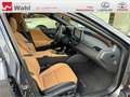 Lexus ES 300 h Luxury Line NEUES MODELL MATRIX-LED Grau - thumbnail 9
