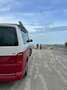 Volkswagen T6 California VW T6 Ocean Dsg California Red FULL OPT - GARANZIA Rosso - thumbnail 15