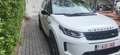Land Rover Discovery Sport 2.0 TD4 MHEV 4WD R-Dynamic S Blanc - thumbnail 4