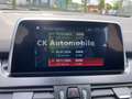 BMW 216 216 d Gran Tourer Advantage/Automatik/Navi/PDC Zilver - thumbnail 15