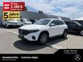 Mercedes-Benz EQA 350 EQA 350 4M Progressive 19"-AMG AHK 360° Keyless Blanco - thumbnail 1