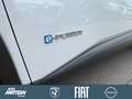 Nissan X-Trail N-Trek e-Power,schon ab299€ Leasingrate* Blanc - thumbnail 22