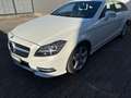 Mercedes-Benz CLS 350 Shooting Brake CDI 4Matic DPF B.EFF 7G-TR - thumbnail 2