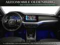 Skoda Octavia Combi 2.0 TDI DSG First Edition *ACC*HUD Bleu - thumbnail 11