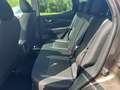 Nissan Qashqai 1,3 DIG-T N-Connecta Aut.*ab €16.990,-* Braun - thumbnail 12