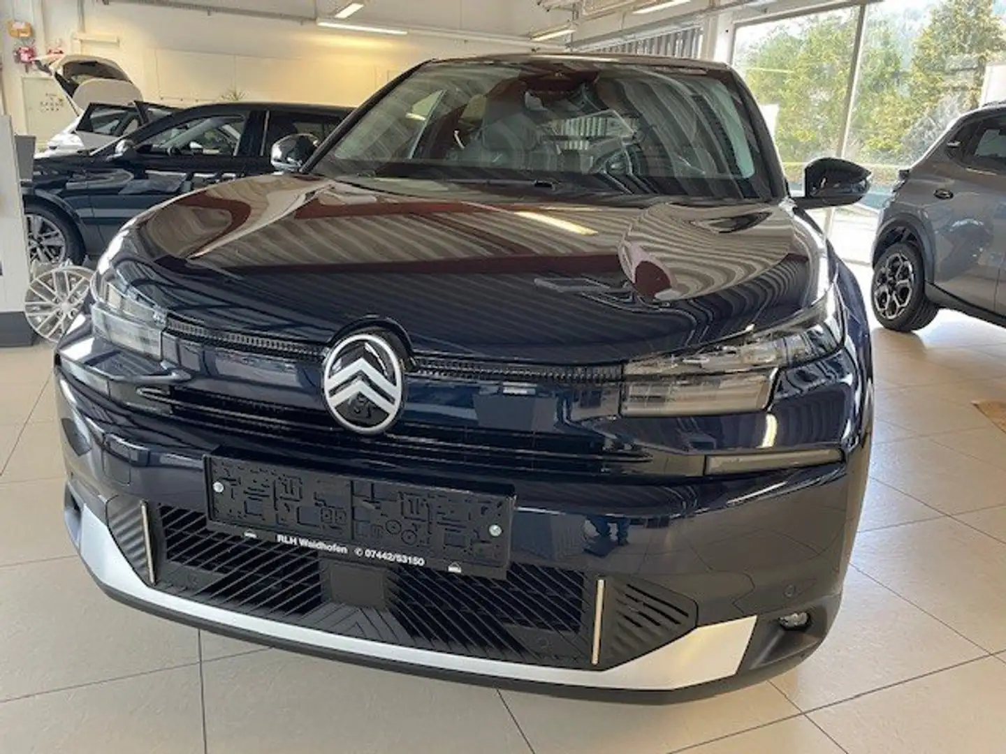 Citroen C4 Max Blau - 1