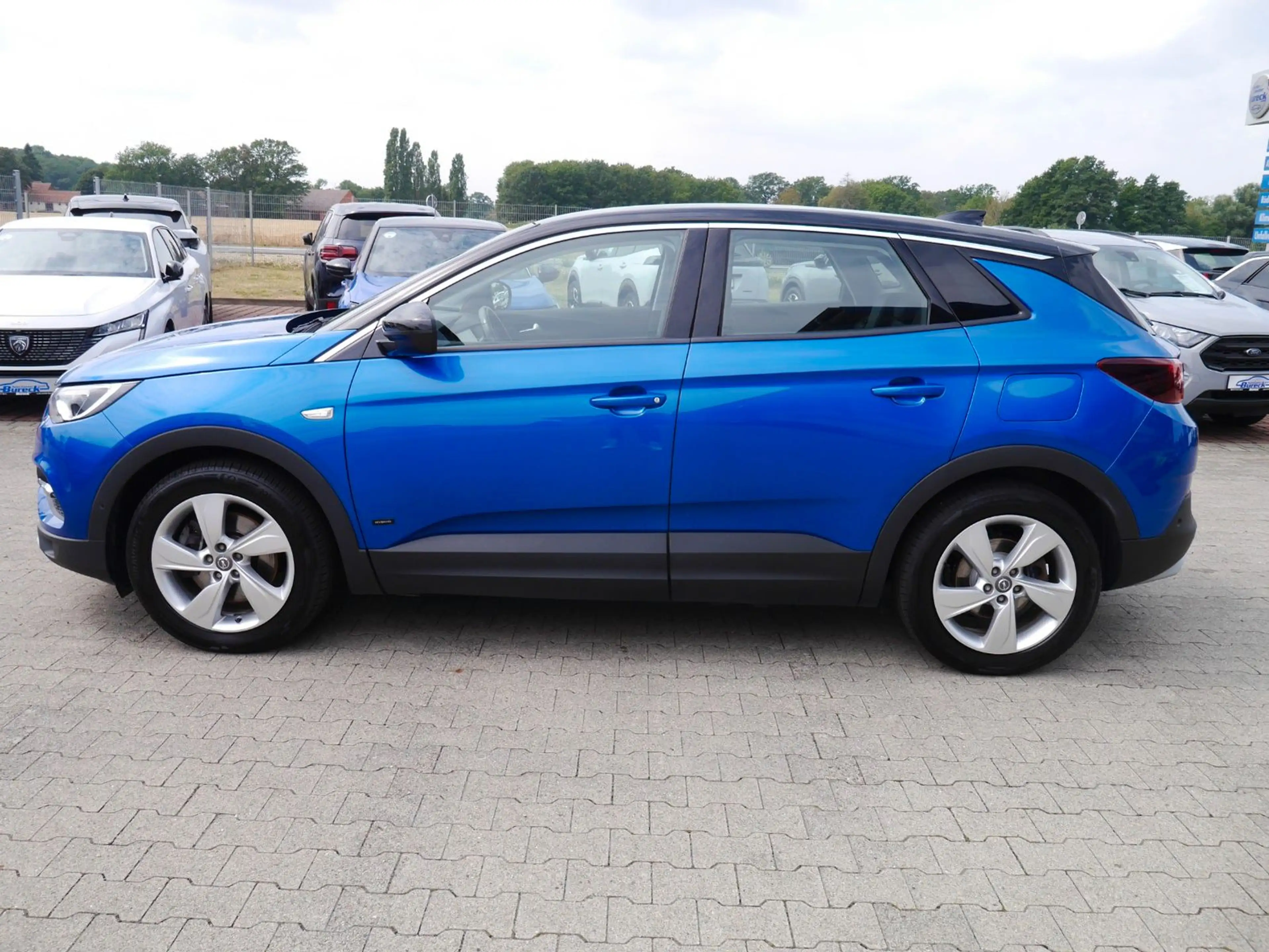 Opel Grandland X 225 LED/Navi/SHZ/Kamera/AHK — photo 3