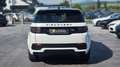 Land Rover Discovery Sport R-Dynamic Black AWD *AHK*360°CAM* Weiß - thumbnail 5