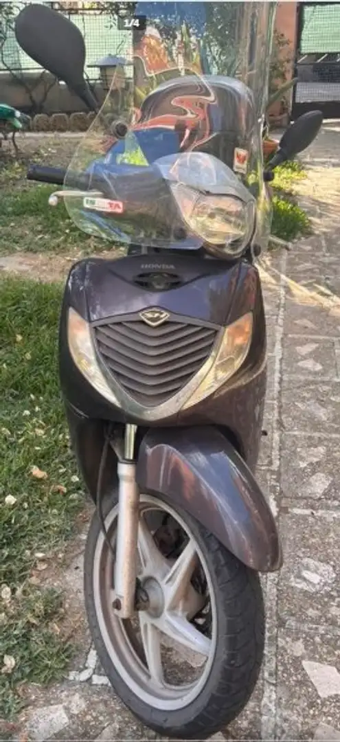 Honda SH 150i Braun - 1