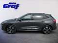 Ford Kuga 2,0 EcoBlue Hybrid ST-Line Grau - thumbnail 6