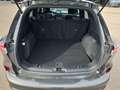 Ford Kuga 2,0 EcoBlue Hybrid ST-Line Grau - thumbnail 9