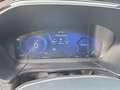 Ford Kuga 2,0 EcoBlue Hybrid ST-Line Grau - thumbnail 12