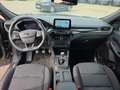 Ford Kuga 2,0 EcoBlue Hybrid ST-Line Grau - thumbnail 14