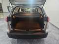 Ford Focus Focus 1.5 TDCi 120 CV Start&Stop SW Plus Grigio - thumbnail 10