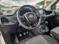 Fiat Doblo 1.6 mjt 16v Lounge 95cv - thumbnail 10