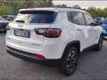 Jeep Compass 1.3 Turbo T4 PHEV Limited Bianco - thumbnail 3