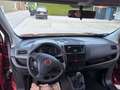Fiat Doblo Dynamic 7 SITZER Rojo - thumbnail 12
