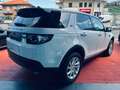 Land Rover Discovery Sport 2.0 TD4 150 CV 4X4 Automatic Blanco - thumbnail 4