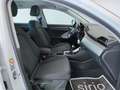 Audi Q3 35 2.0 tdi Business s-tronic White - thumbnail 11