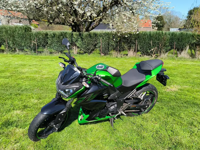 Kawasaki Z 300 - foto 6
