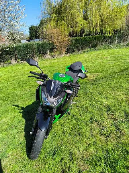 Kawasaki Z 300 - foto 2