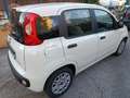 Fiat Panda Panda III 2021 1.0 firefly hybrid nessun obbligo Bianco - thumbnail 5