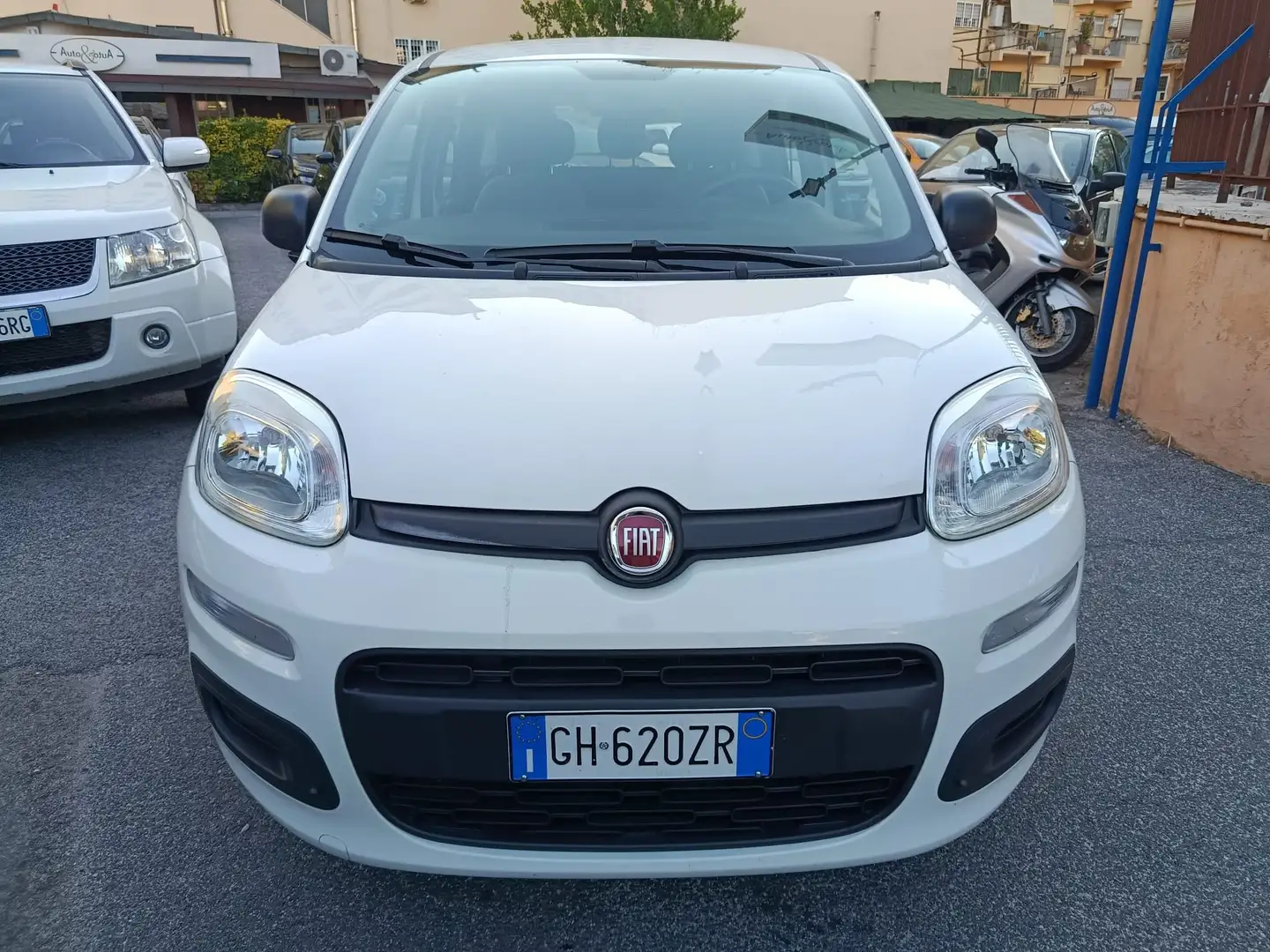 Fiat Panda Panda III 2021 1.0 firefly hybrid nessun obbligo Bianco - 2