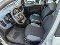 Fiat Panda Panda III 2021 1.0 firefly hybrid nessun obbligo Bianco - thumbnail 10