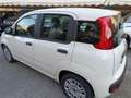 Fiat Panda Panda III 2021 1.0 firefly hybrid nessun obbligo Bianco - thumbnail 9