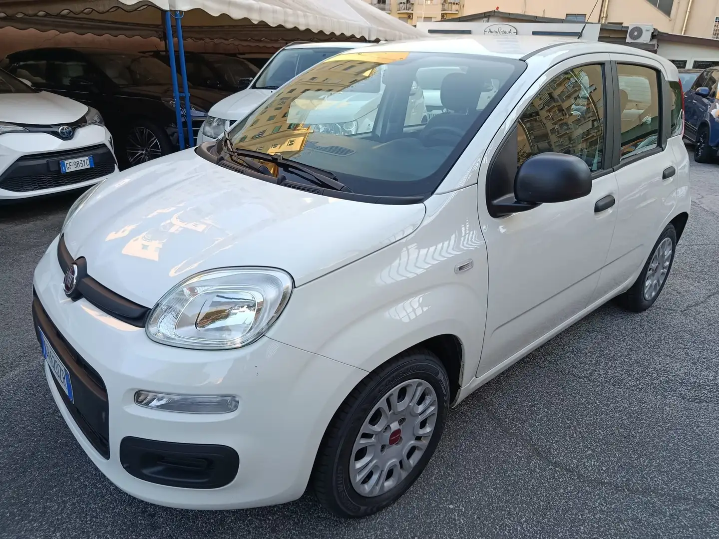 Fiat Panda Panda III 2021 1.0 firefly hybrid nessun obbligo Bianco - 1