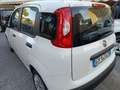 Fiat Panda Panda III 2021 1.0 firefly hybrid nessun obbligo Bianco - thumbnail 8
