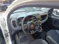 Fiat Panda Panda III 2021 1.0 firefly hybrid nessun obbligo Bianco - thumbnail 11