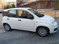 Fiat Panda Panda III 2021 1.0 firefly hybrid nessun obbligo Bianco - thumbnail 4