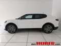 Ford Ranger CAPRI PREMIUM 5D 84 Weiß - thumbnail 4