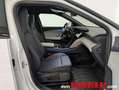 Ford Ranger CAPRI PREMIUM 5D 84 Weiß - thumbnail 20