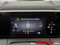 Ford Ranger CAPRI PREMIUM 5D 84 Weiß - thumbnail 14